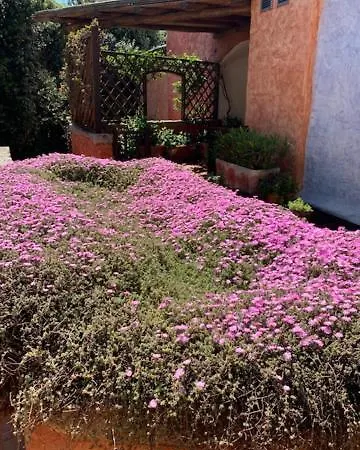 Apartment Prestige Porto Cervo